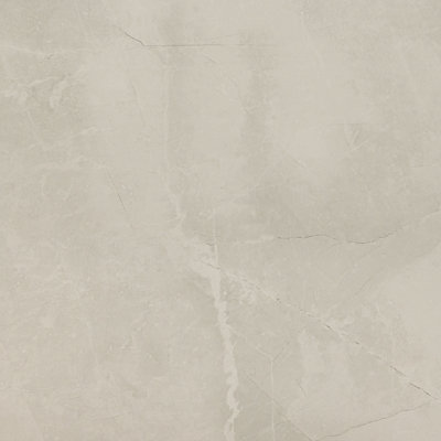 Carrelage de sol et mural Sonoma Cameo 61 cm x 61 cm en porcelaine polie aspect pierre