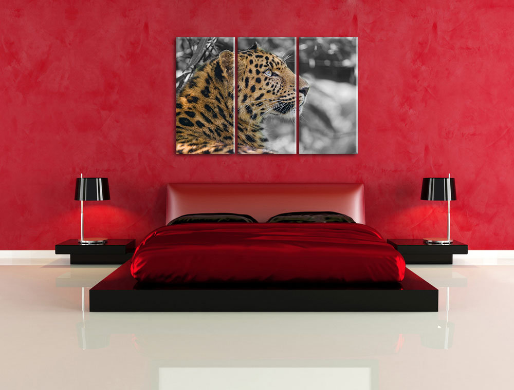 3-tlg. Leinwandbilder-Set „Stolzer Leopard ruht im Schatten“, Fotodruck