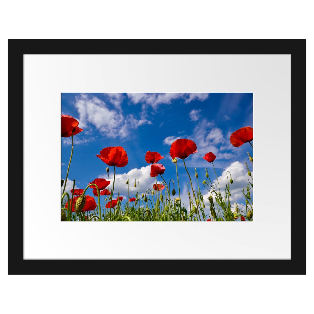 Gerahmtes Poster Wiese mit Blumen