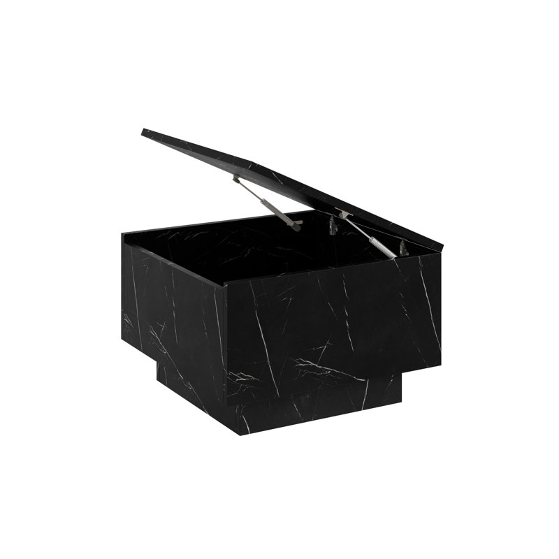 Coffee Table Celka with Storage Compartment, Black, 40cm H x 60cm L x 60cm W