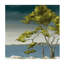 From Island I Print by Sara Brown-26729710-26729702