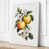 White Border is out of stock