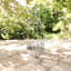 Metal Plant Cage-1226647880