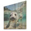 Lions de mer au jeu III - phoque / otarie marine sur bois-850356670