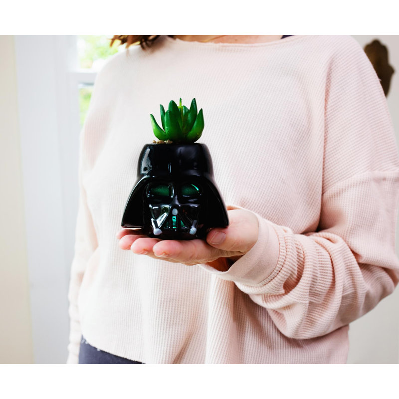 4'' Faux Succulent