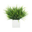 Grass Arranged in Square Planter