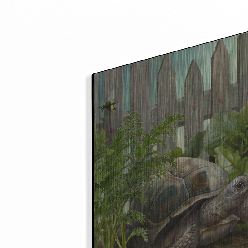 «Four Of WaterTortiose» par Dan Craig, H 16 po x l 12 po