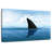 Crowle Shark Fin-111961151