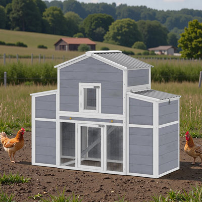 Maison pour animaux en bois, grand poulailler, poulailler