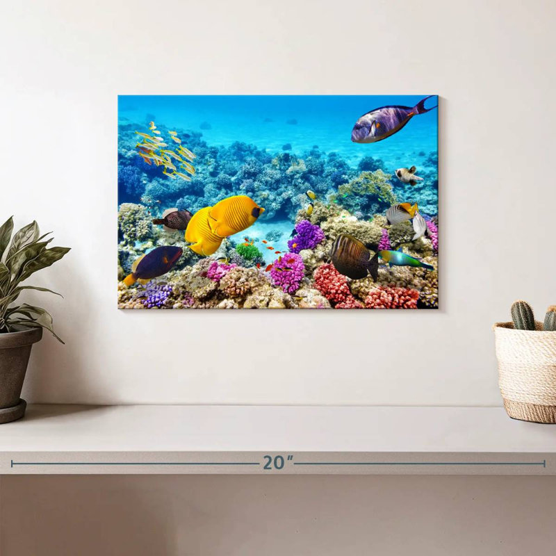 Ocean life Aletra, H 8 po x l 12 po