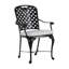 Provance Patio Dining Armchair with Cushion-83260217-83260218-83260228