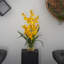 Arrangement floral dans une vase-1226068040
