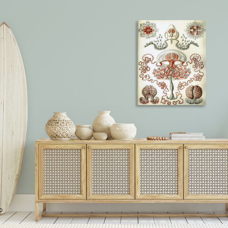  Art classique classique sur toile, "Haeckel" par Graffi *ee Studios, H 40 po x l 30 po
