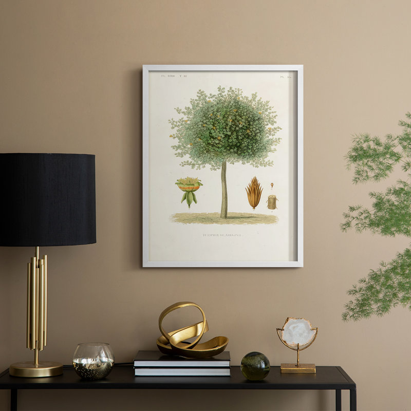 Arbre antique avec fruit X, reproduction encadrée - bois massif, H 21 po x l 17 po, Blanc