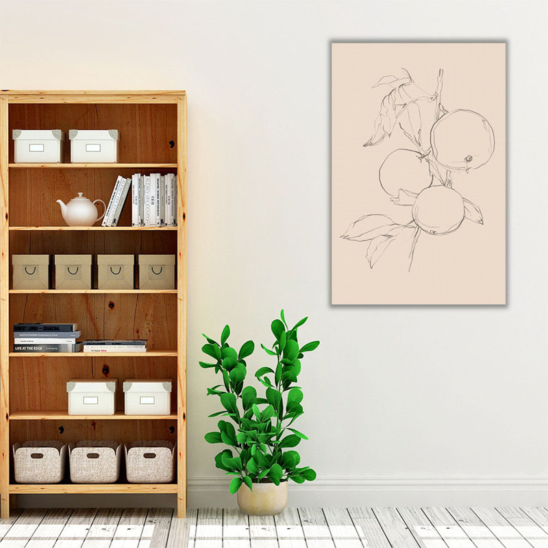 «Fruit Contour Study I», reproduction d'art sur toile, H 36 po x l 24 po