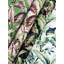 Papier peint Heiti-1351036365
