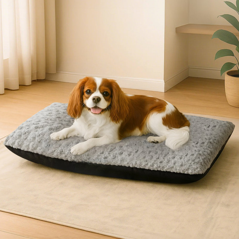 Orthopedic Polyester Pet Bed, 18cm H x 18cm W x 45cm D
