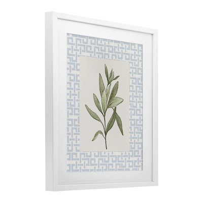 «Leafy Fresh Herb», reproduction sous verre encadrée, design par Diannart