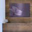 «Purple Dew» par Lori Deiter-1005802896