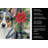 Blue Merle Cardigan Welsh Corgi Christmas PoinsettIas Kitchen Towel-2080583681