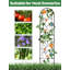 220cm H x 50cm W Metal Gothic Trellis