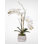 Real Touch Cream White Phalaenopsis Orchids in a Stone Wash Pot