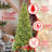 9FT Slim Christmas Tree with LED Lights