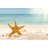 Strafish And Shells-1511710511