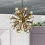 18 - Light Chandelier-1733004524
