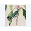 « aviaire crop iv », reproduction d’impression sur toile-32565092-72226462-72226463