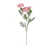 Rose est en rupture de stock