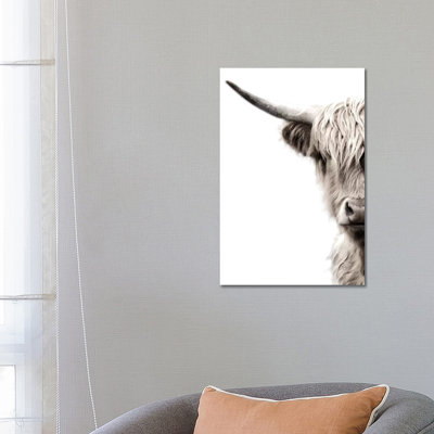 " Highland Cattle " by Danita Delimont