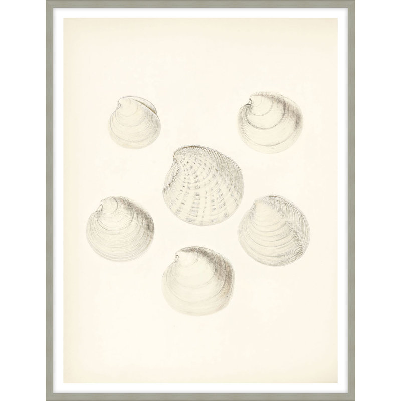 Shore's Treasure 1 Print by Studio L57 Nouvelle, 12.75" H x 10.75" W