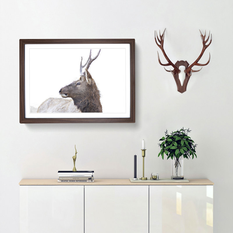 Young Elk - Picture Frame Painting Print, Walnut Framed, 40cm H x 60cm W x 2cm D