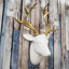 Christmas Figurines & Collectibles-275058974-364553569