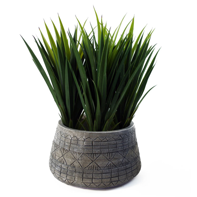 Cachepot