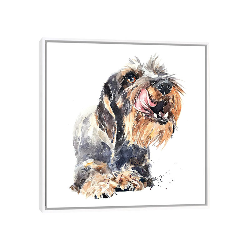 «Wirehaired Dachshund I» par EdsWatercolours - impression, Pas de tapis, H 26 po x l 26 po x P 1,5 po, Toile blanche encadrée