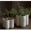 Plus 1 pot de fleurs suspendu-65376505-65376506