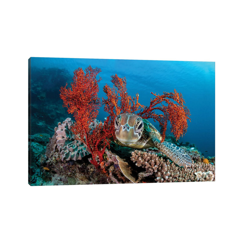The Resting Place by Jordan Robins - Wrapped Canvas Print, 66.04 cm H x 45.72 cm W x 1.91 cm D