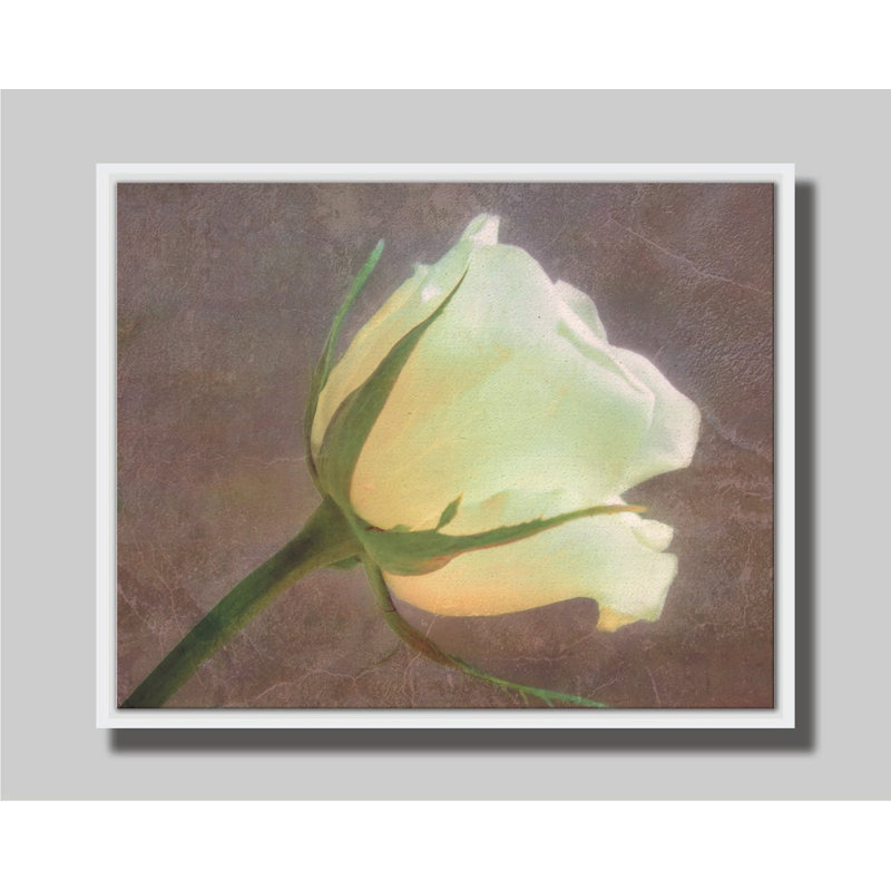 Rosewall par Hal Halli. Toile giclée sur toile avec cadre flottant, H 40,5 po x l 50,5 po, Blanc