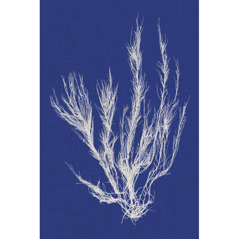 Seaweed Pop VI by Vision Studio - Painting on Canvas, 122 cm H x 81 cm W, Wrapped Canvas