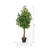 51 " H Faux Fruit Plant in Plastic Pot