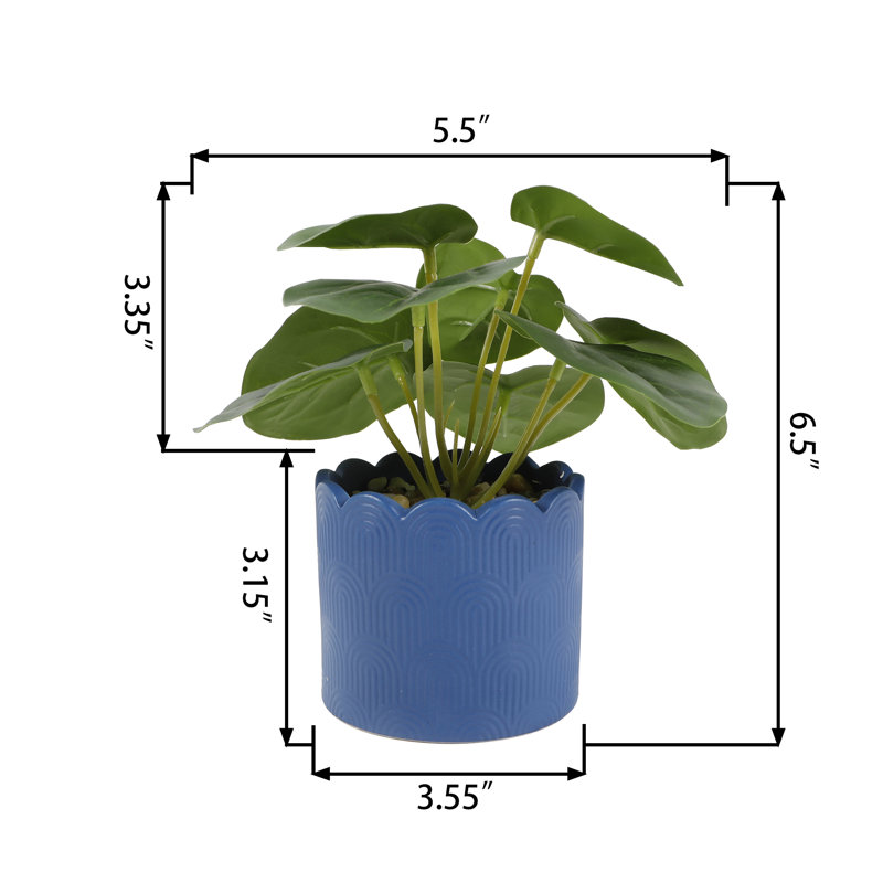 6.5'' Faux Money Plant Plant in Pot
