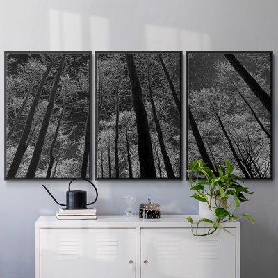 " Night Sky " 3 - Pieces