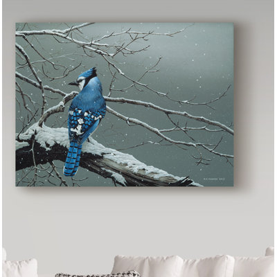 Etelca 'Winter Jay' Graphic Art Print on Wrapped Canvas