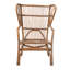 Bagryana 30.7'' Wide Tufted Wingback Chair