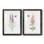 «Wildflower Botanical I», ensemble de 2 reproductions d'art-808463903-808463900-808463890