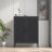 Setara 31.5'' Wide 2 - Shelf Storage Cabinet-1916696356