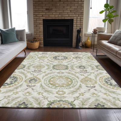  Machine Washable Indoor/Outdoor Mahaney ACN751 Ivory Rug