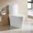 One Piece Elongated Toilet, Large Size Siphonic Dual Flush 1.1/1.6 GPF, Floor-Discharge Compact Water-Saving Toilet, Glossy White